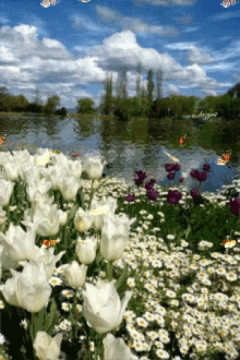 Spring Nature GIF - Spring Nature Butterflies GIFs