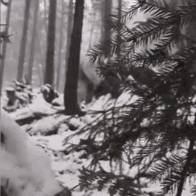 Yeti Snow GIF - Yeti Snow Falling GIFs