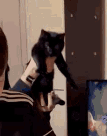 a person is holding a black cat in their hands .