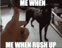 dog dead dog rushdown rushup