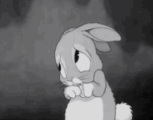 bunny crying sad forgive me desculpas
