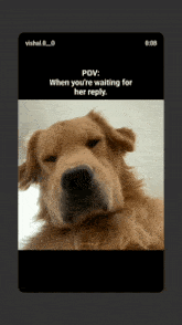 a picture of a dog with a caption that says pov when you 're waiting for her reply