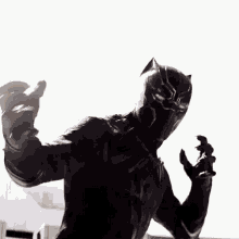 avengers black panther wakanda