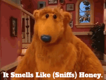 Bear In The Big Blue House It Smells Like Honey GIF - Bear In The Big Blue House It Smells Like Honey Honey GIFs