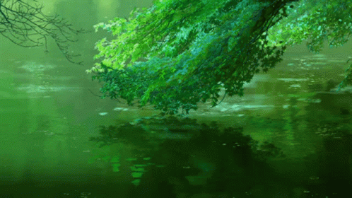 Anime scenery scenery GIF  Find on GIFER