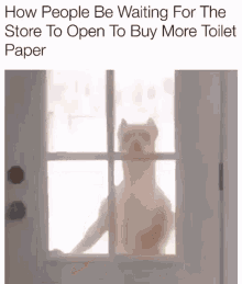 Relatable So GIF - Relatable So Waiting For Store To Open GIFs
