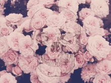 Roses Skull GIF - Roses Skull Rose GIFs