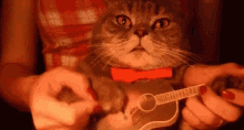 Cat Guitar GIF - Cat Guitar Strum GIFs