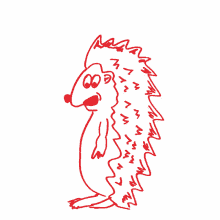 hedgehog chill