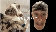 a picture of a dog and a picture of a man with the words une diff on the bottom