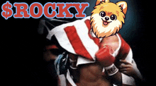 Rocky Rockymemes GIF