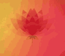 a red lotus flower with a green stem on a pink and yellow background .