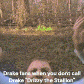 Drake Meg The Stallion GIF - Drake Meg The Stallion Drizzy The Stallion GIFs
