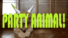 Party Animal GIF - Party Animal GIFs