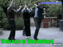 wonderland to