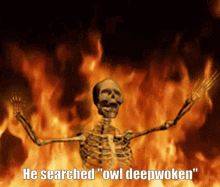 Deepwoken Owl GIF - Deepwoken Owl Deep Owl GIFs