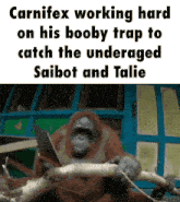 a monkey is holding a tree branch and a laptop with the caption " carnifex working hard on his booby trap "