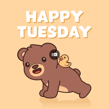 a happy tuesday card with a teddy bear and a duck on its back