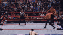 a wrestling match is going on in front of a crowd with the aew logo on the ring