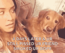 Pissed Your Friend Smoke Your Dope Glare GIF - Pissed Your Friend Smoke Your Dope Glare Dog GIFs
