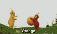 Orangehell Omg GIF - Orangehell Orange Hell GIFs