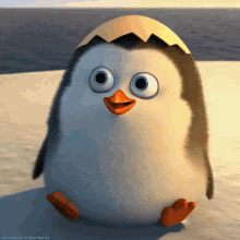 Pinguins GIF
