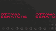Ottawa Senators Goal Go Sens Go GIF - Ottawa Senators Goal Senators Goal Ottawa Senators GIFs