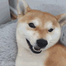 Chillin Relaxed GIF - Chillin Chill Relaxed GIFs
