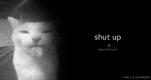 a black and white photo of a cat with the words shut up written on it