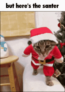 But Heres The Cat GIF - But Heres The Cat Santa GIFs