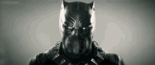 Tchala Black GIF - Tchala Black Panther GIFs