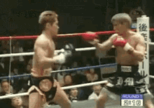 Thai Boxing Knockout GIF - Thai Boxing Knockout GIFs