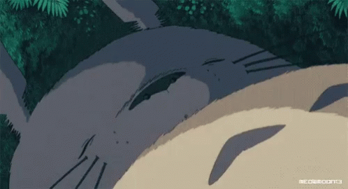 Totoro Sleeping Gifs Tenor