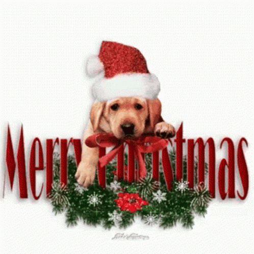 Merry Christmas Dog GIF - Merry Christmas Dog Cute - Discover ...