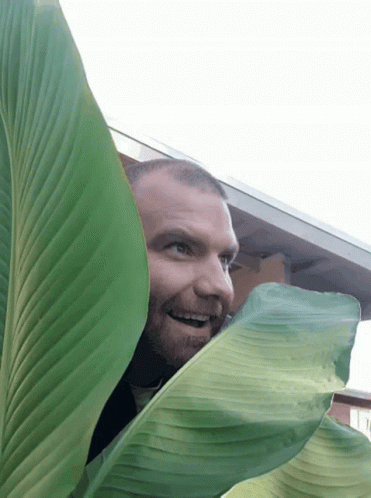 lurk-creep.gif