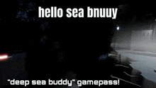 a screenshot of a video game that says " hello sea bnuuy "