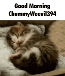 Chummy Weevil GIF - Chummy Weevil Yakuza GIFs
