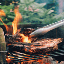 Grilling GIF
