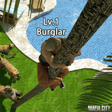 burglar climbing high jump nervous cheetah