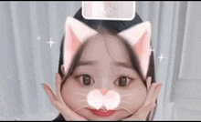 Wonyoung Cute Cat GIF - Wonyoung Cute Cat GIFs