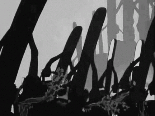 The Sorcerer's Apprentice was just trying to Copy-Broom, and look where it got them.