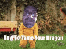 Die Kungfu GIF - Die Kungfu How To Tame Your Dragon GIFs