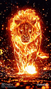 a lion is covered in flames and is walking through the fire .