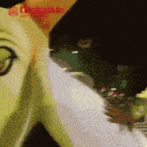 a close up of shrek 's face with a watermark that says contenido