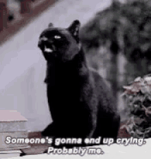 Salem The Cat Crying GIF - Salem The Cat Crying Sabrina GIFs