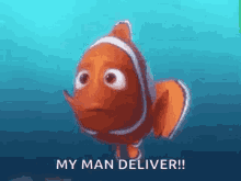 Finding Nemo Shocked GIF - Finding Nemo Shocked Shocking GIFs