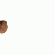 Period Ahh Dog Rolling Around GIF - Period Ahh Dog Rolling Around GIFs