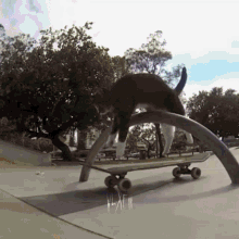 GIF