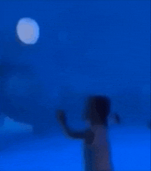 two children are looking at a whale in a tank at an aquarium .