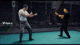 two men are fighting in a boxing ring with a viggle.ai logo behind them
